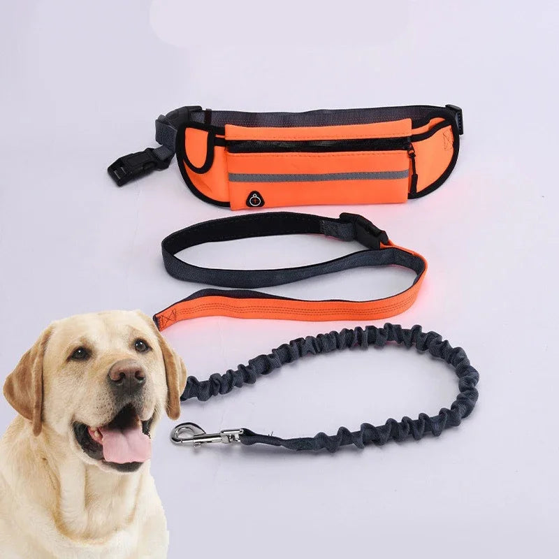 Riñonera  correa para perros